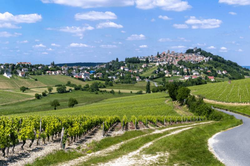 Sancerre we Francji