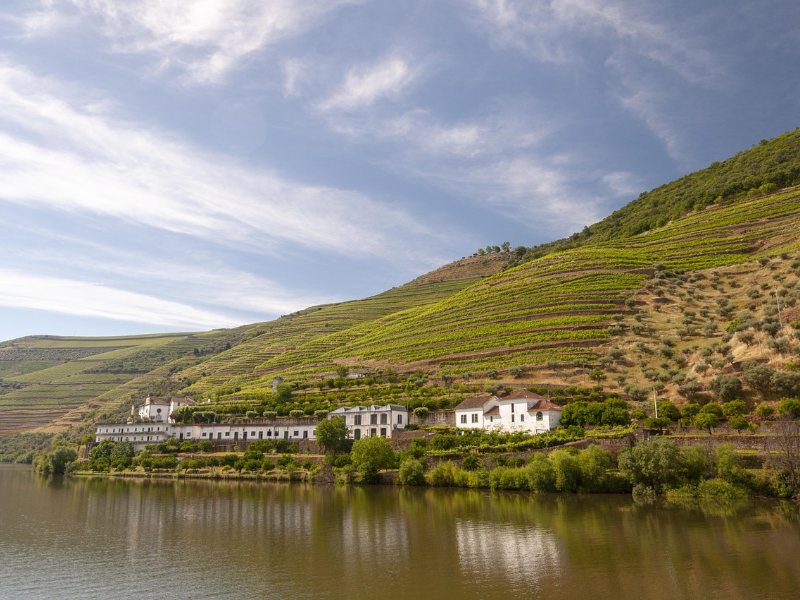 Douro, ojczyzna porto